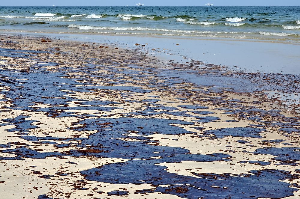 The Hidden Dangers of Oil Spills in the Baltic Sea